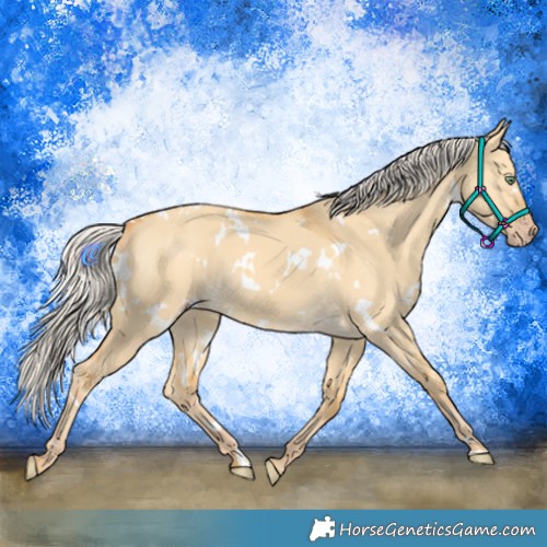 Horse Color:White Spotted Silver Amber Cream Champagne Dun 
