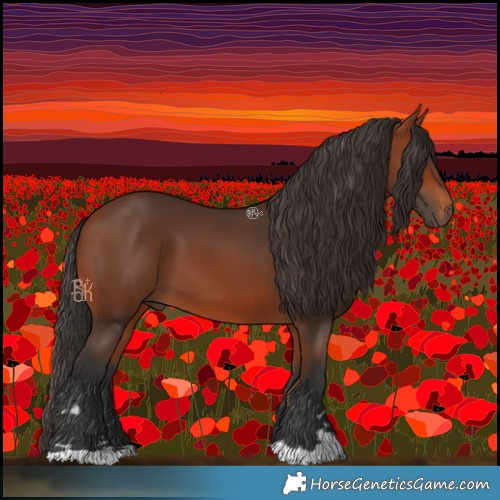 Horse Color:Bay 