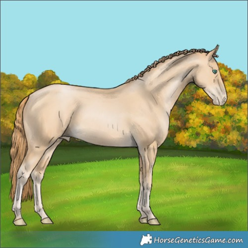 Horse Color:Smoky Black Pearl 