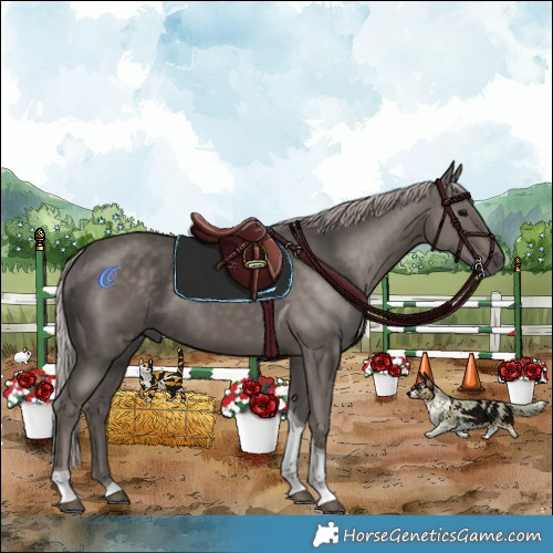 Horse Color:Silver Black Tobiano 