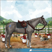 Horse Color:Silver Black Tobiano