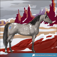 Horse Color:White Spotted Smoky Grullo Roan Rabicano