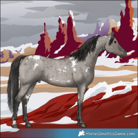 Horse Color:White Spotted Smoky Grullo Roan Rabicano 