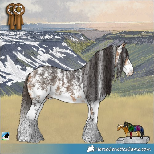 Horse Color:Buckskin Ice Sabino Rabicano 