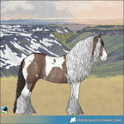 Horse Color:Liver Red Dun Sabino Tobiano Rabicano 