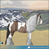 Horse Color:Liver Red Dun Sabino Tobiano Rabicano
