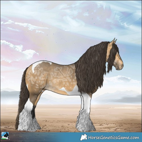 Horse Color:Buckskin Ice Mushroom Tobiano Rabicano 
