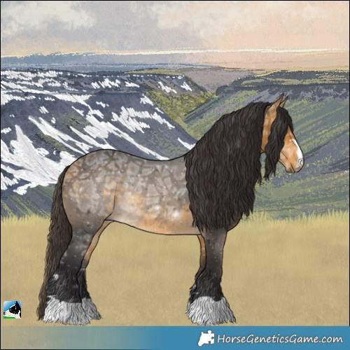 Horse Color:Buckskin Ice Rabicano 