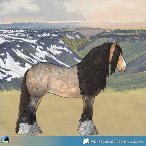 Horse Color:Buckskin Ice Rabicano