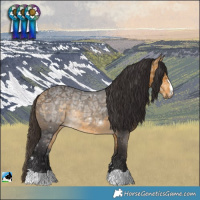 Horse Color:Buckskin Ice Rabicano