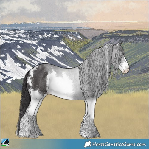 Horse Color:Smoky Black Mushroom Sabino Rabicano 