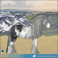 Horse Color:Smoky Black Mushroom Sabino Rabicano 