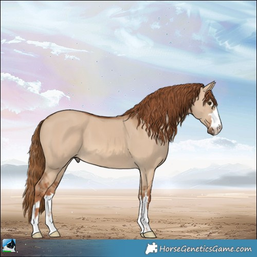 Horse Color:Red Dun 