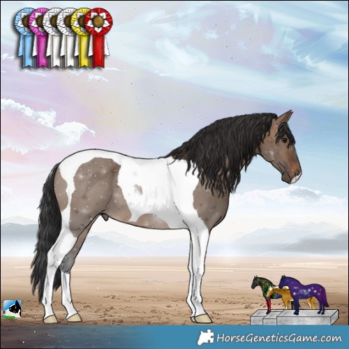 Horse Color:Brown Dun Tobiano 