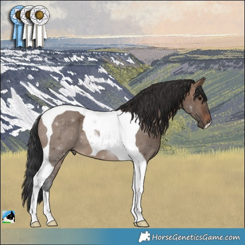 Horse Color:Brown Dun Tobiano 