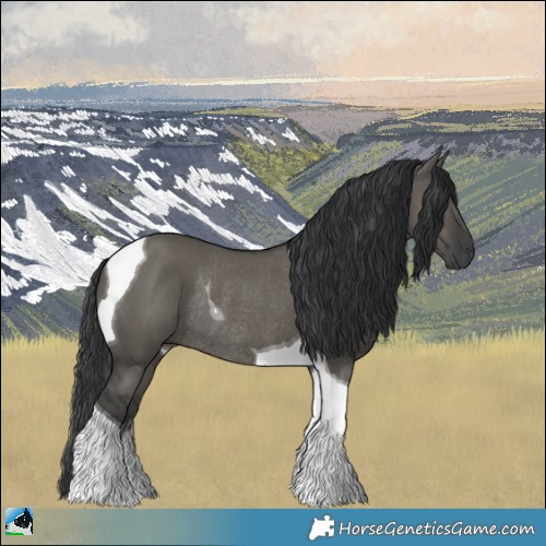 Horse Color:Grullo Tobiano Rabicano 