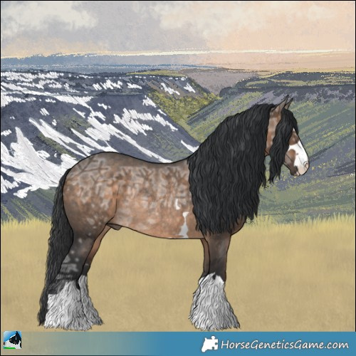 Horse Color:Brown Ice Dun Rabicano 