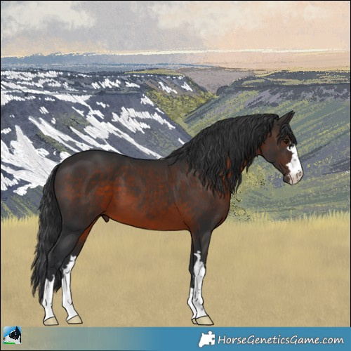 Horse Color:Brown Mushroom 
