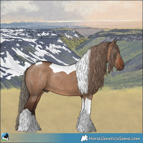 Horse Color:Liver Red Dun Tobiano Rabicano 