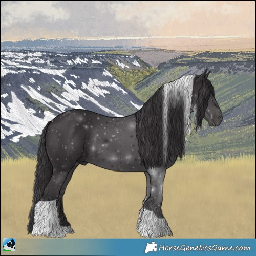 Horse Color:Smoky Black Tobiano Rabicano 