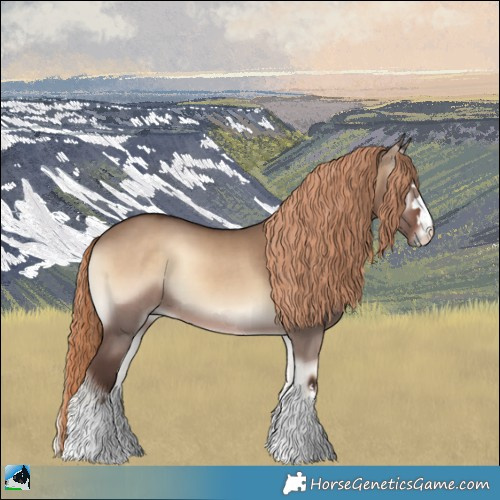 Horse Color:Liver Red Dun Onyx 