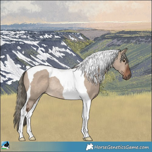 Horse Color:Liver Red Dun Mushroom Tobiano Rabicano 