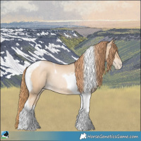 Horse Color:Buckskin Pearl Tobiano Rabicano 
