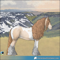 Horse Color:Buckskin Pearl Tobiano Rabicano