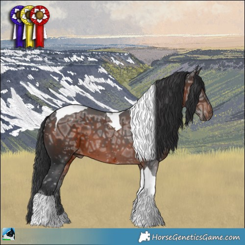 Horse Color:Brown Ice Tobiano 