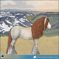 Horse Color:Gold Champagne Ice Dun Rabicano 