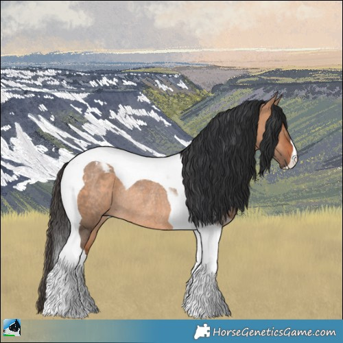 Horse Color:Bay Dun Tobiano Rabicano 