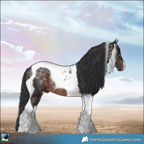 Horse Color:Brown Ice Mushroom Tobiano Rabicano 