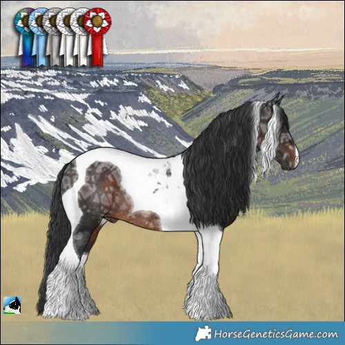Horse Color:Brown Ice Mushroom Tobiano Rabicano 