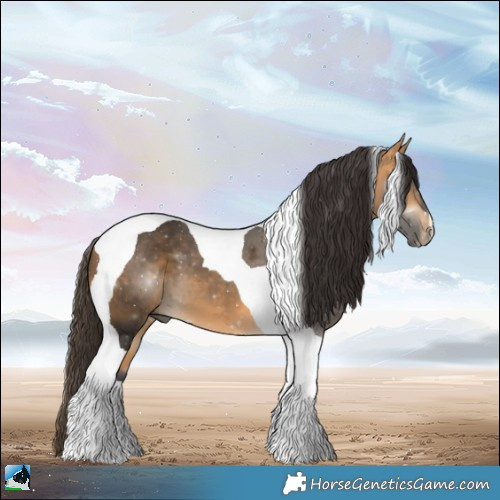 Horse Color:Buckskin Tobiano 