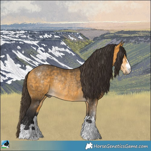 Horse Color:Buckskin Rabicano 