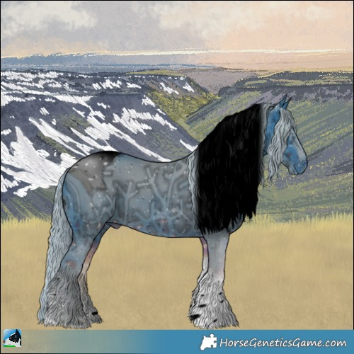 Horse Color:ERROR: UNKNOWN ANOMALY