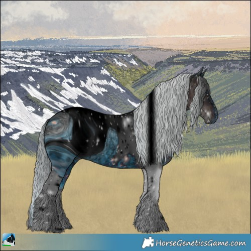 Horse Color:ERROR: UNKNOWN ANOMALY