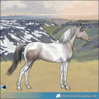 Horse Color:Liver Chestnut Tobiano 