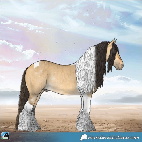 Horse Color:Buckskin Dun Tobiano Rabicano Brindle 