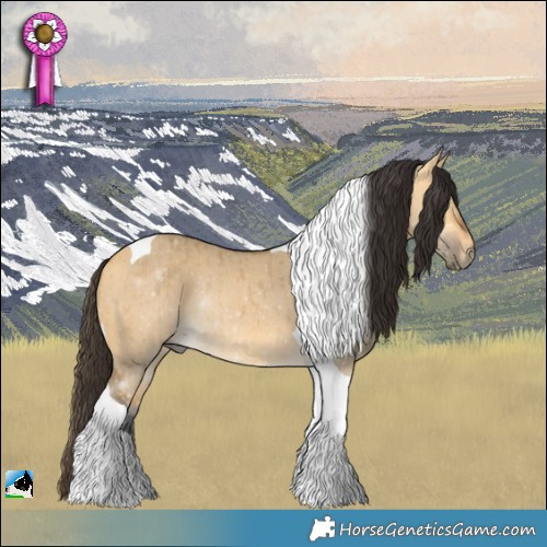 Horse Color:Buckskin Dun Tobiano Rabicano Brindle 