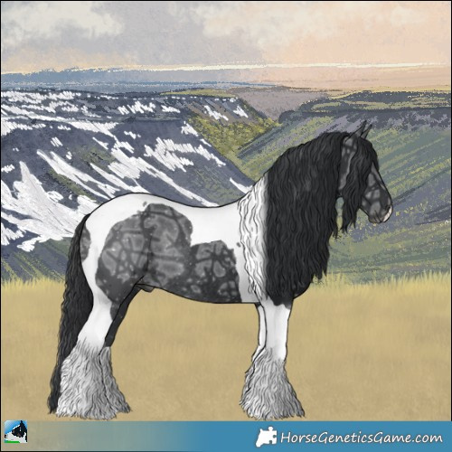 Horse Color:Black Ice Mushroom Tobiano Rabicano 