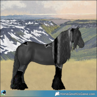 Horse Color:Black Mushroom Tobiano 