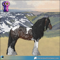 Horse Color:Brown Ice Tobiano