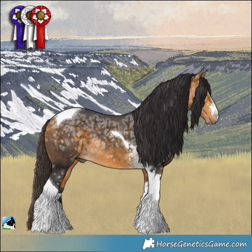 Horse Color:Buckskin Ice Tobiano Rabicano 
