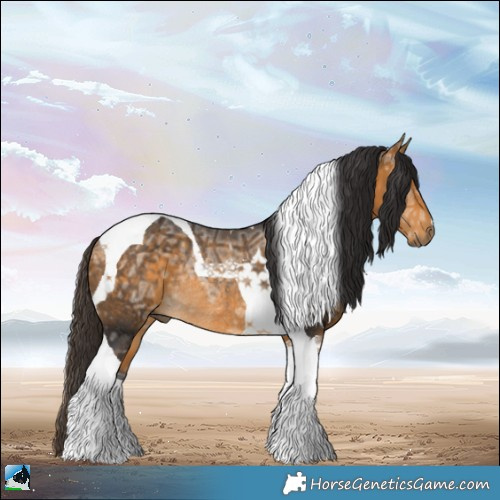 Horse Color:Buckskin Ice Tobiano Rabicano 