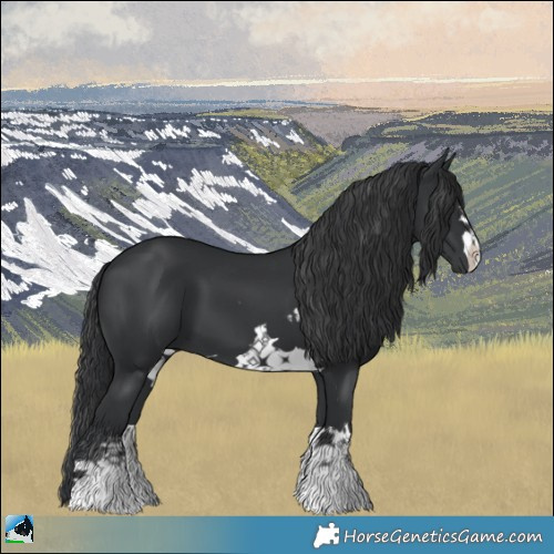 Horse Color:Black Mushroom 
