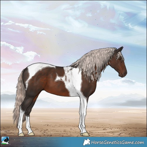 Horse Color:Liver Chestnut Mushroom Tobiano 