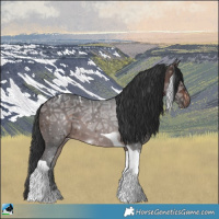 Horse Color:Brown Ice Tobiano
