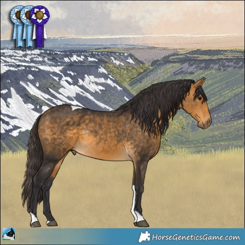 Horse Color:Buckskin Tobiano Rabicano 