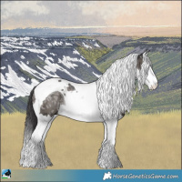 Horse Color:Smoky Grullo Ice Mushroom Sabino Splash Tobiano Rabicano Brindle 